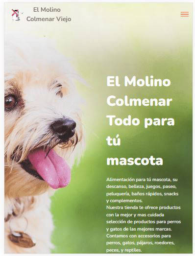 Diseño tienda de animales