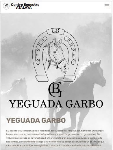 Web venta de caballos Garbo