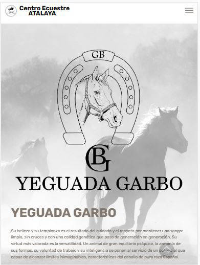 Web venta de caballos Garbo